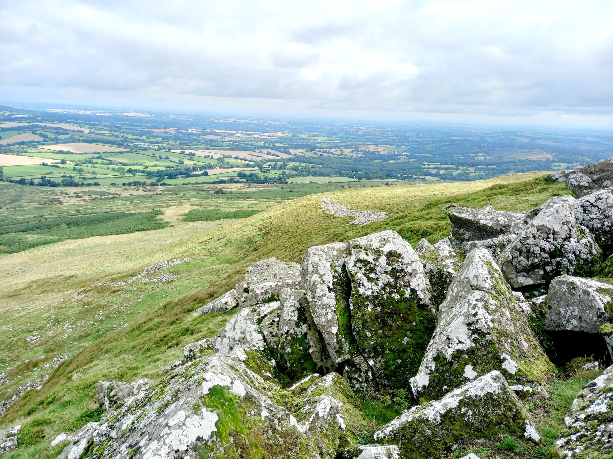 Martin Winward header image