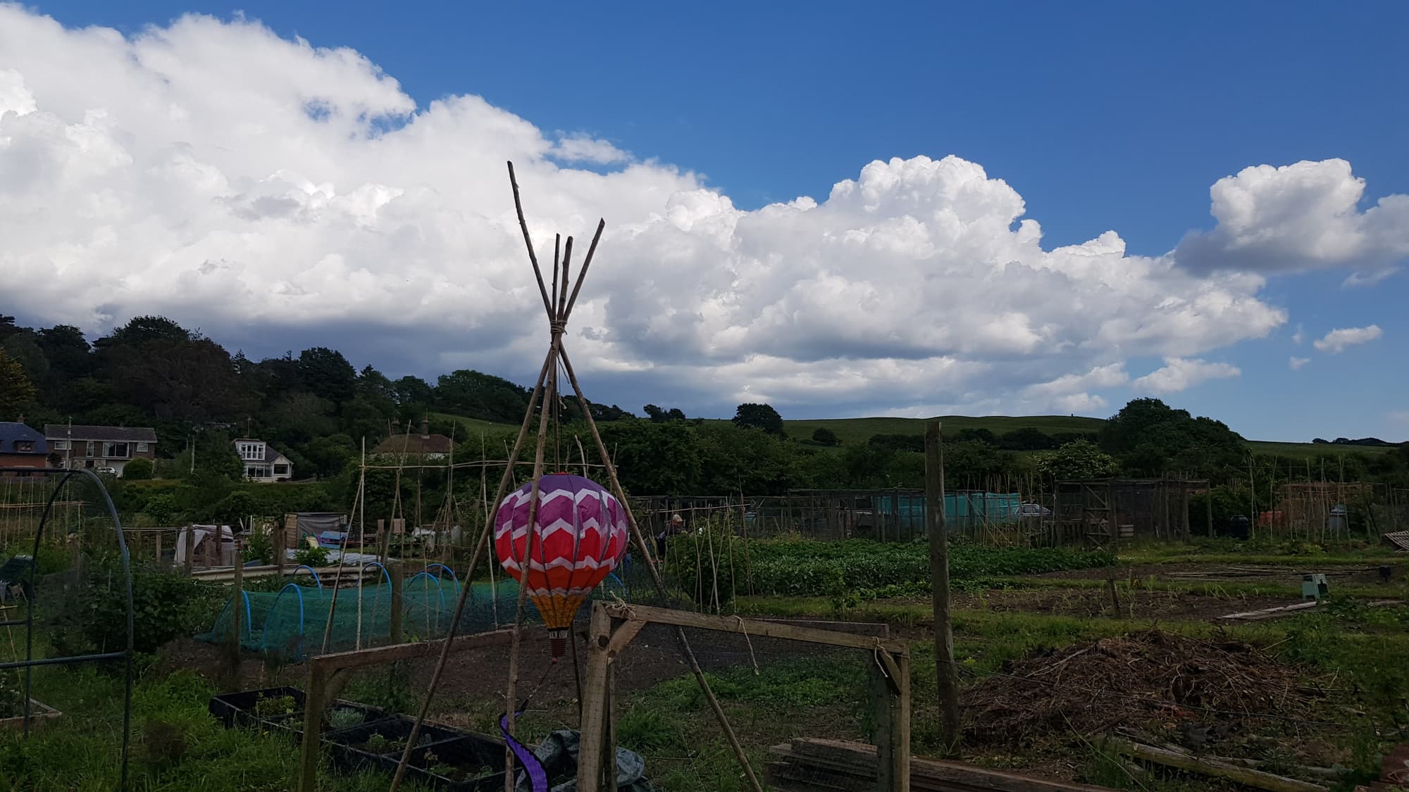 Amy Longley header image