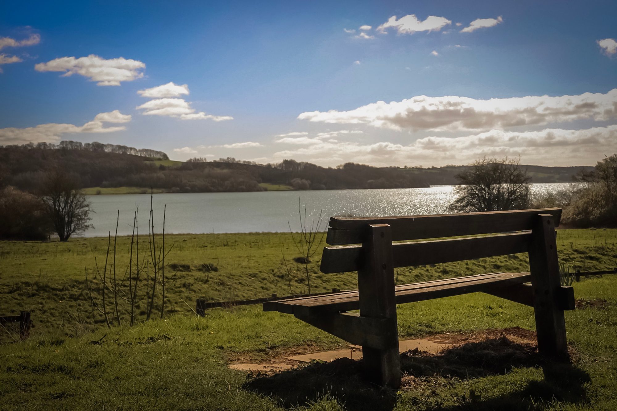Luke Green header image
