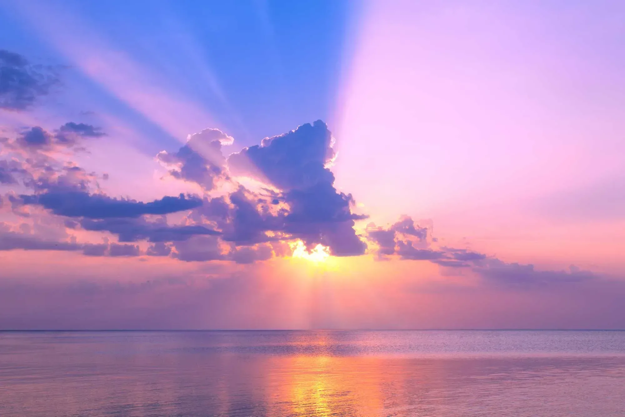 Heather Addo header image
